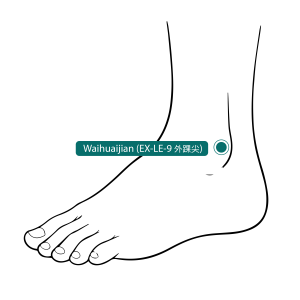 Feet Acupoints - Waihuaijian