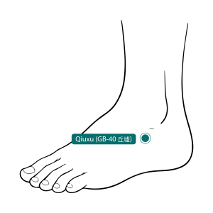 Feet Acupoints - Qiuxu
